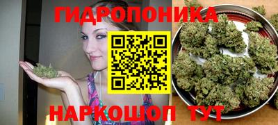 2c-b Гусиноозёрск