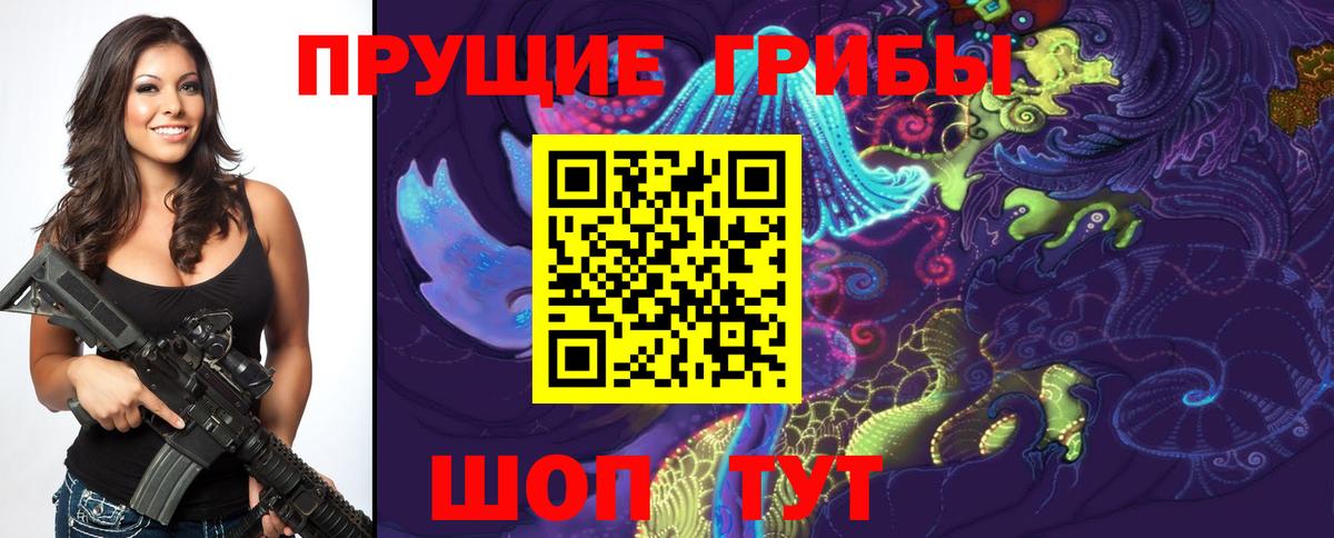 Тара  Псилоцибиновые грибы Magic Shrooms  Вход с VPN  закладки  Псилоцибиновые грибы GOLDEN TEACHER 